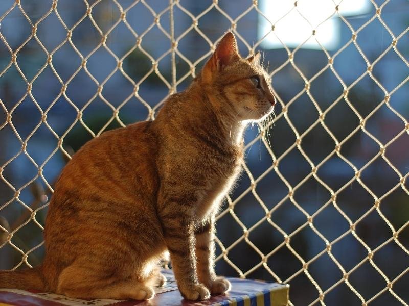 Telas de segurança em prédios em Porto Alegre