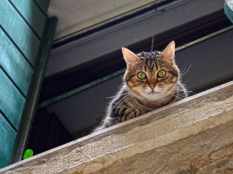 Redes de segurança residencial em Porto Alegre