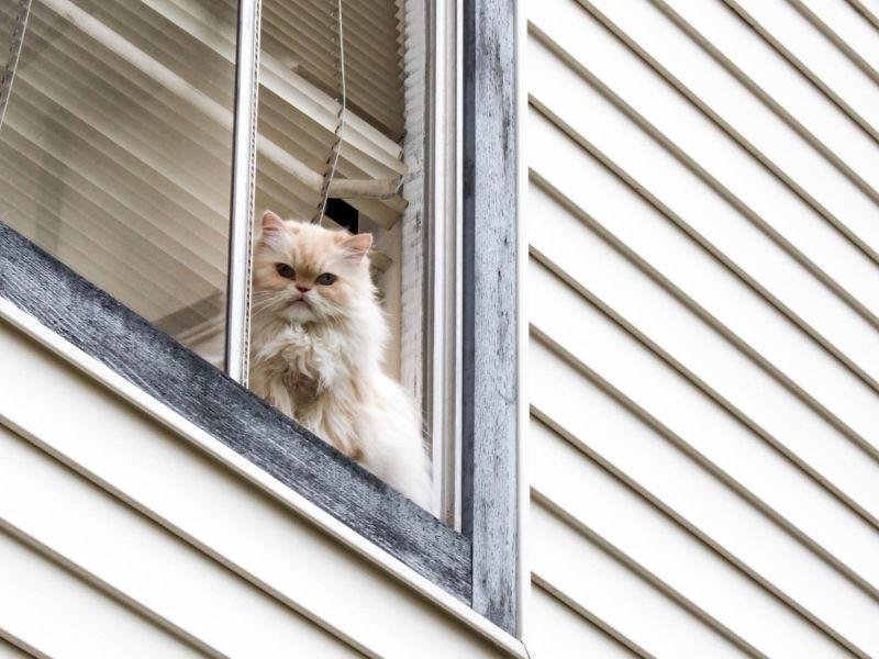 Redes de segurança para condomínios em Porto Alegre