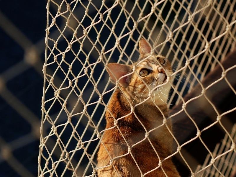 Instalação de rede de proteção em Charqueadas