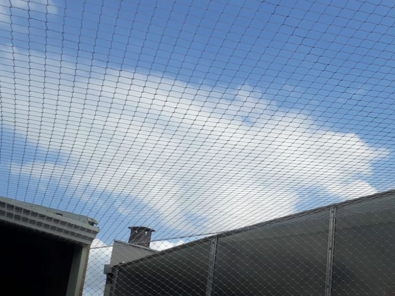 Rede para janelas com qualidade garantida em Porto Alegre