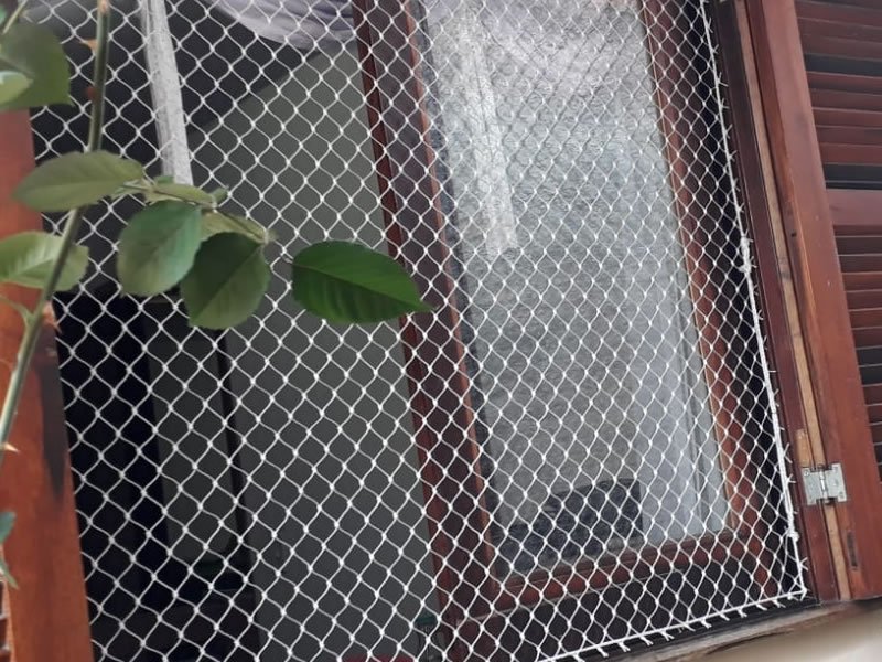 Proteja animais com rede residencial em Porto Alegre