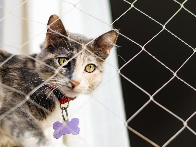 Instalação de rede de proteção em Porto Alegre