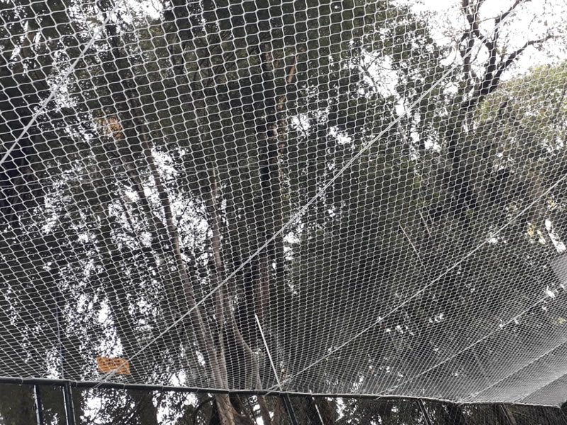 Rede para janelas com qualidade garantida em Navegantes, Porto Alegre